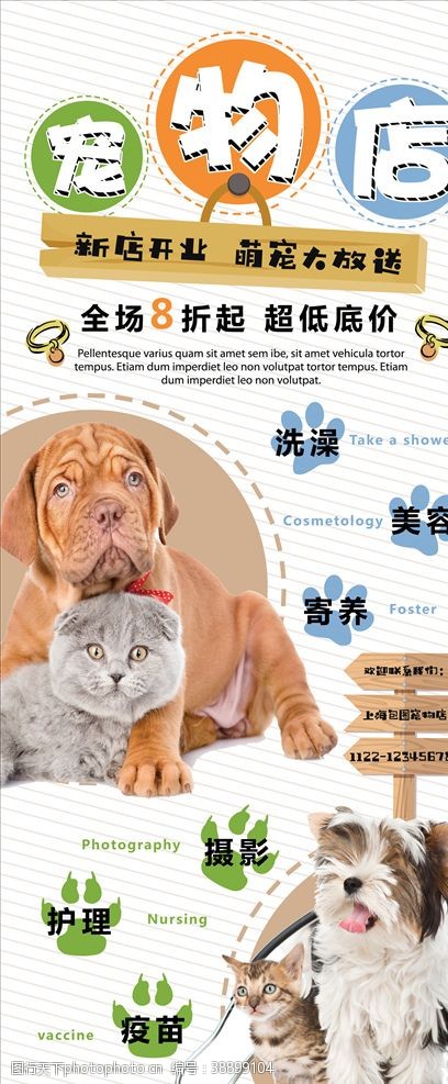 宠物医院宠物海报
