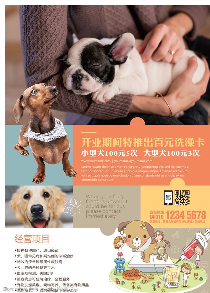 宠物医院招牌宠物海报