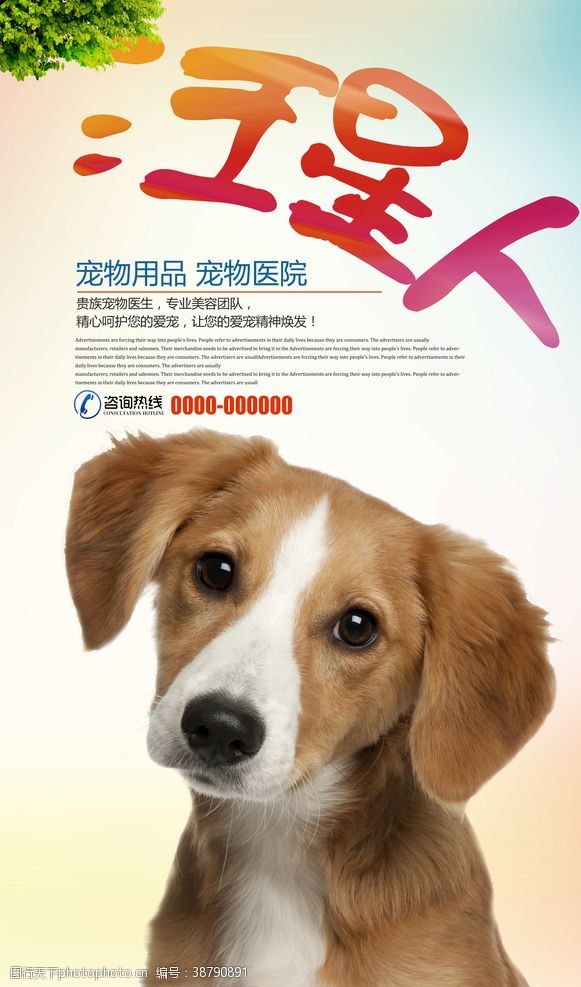 宠物店促销宠物汪星人海报设计