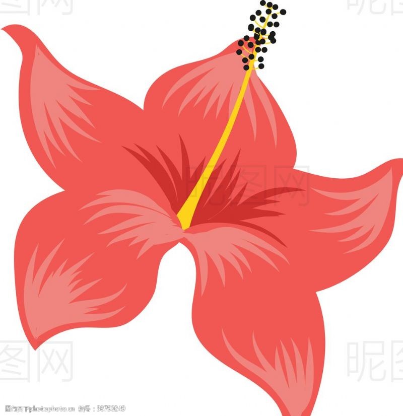 卡通菠萝矢量图花朵