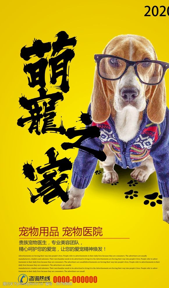宠物领养萌宠之家宣传海报设计