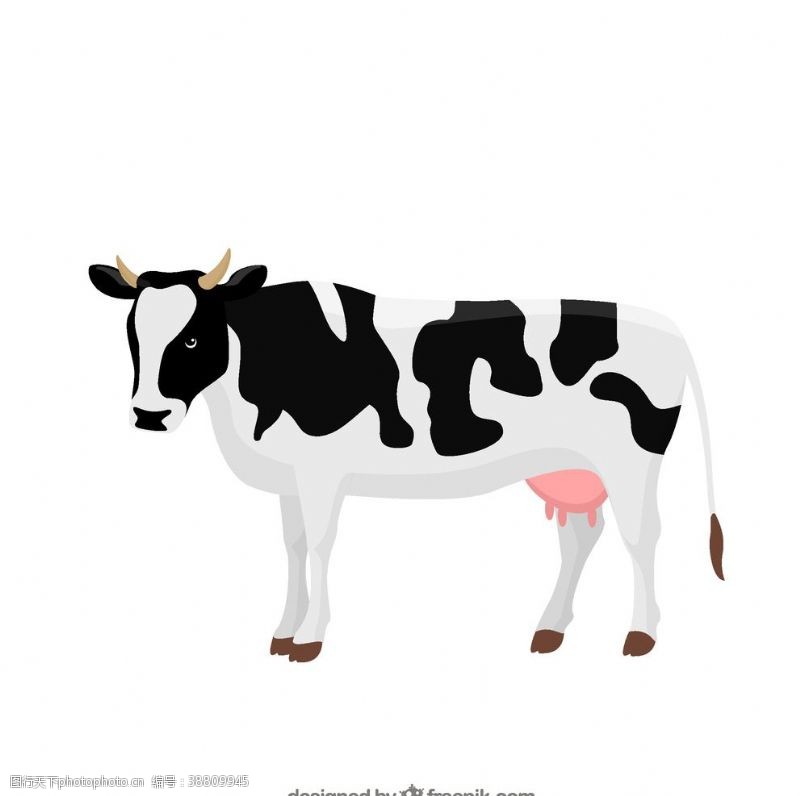 农场动物牛插图