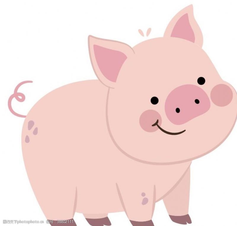 胖猪矢量卡通小猪