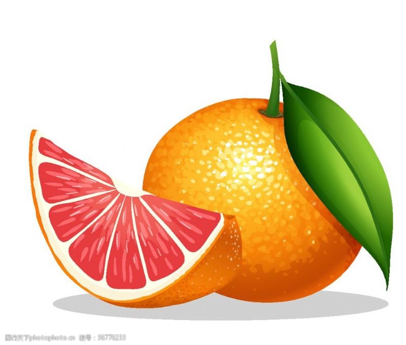 海鲜广告手绘橙子