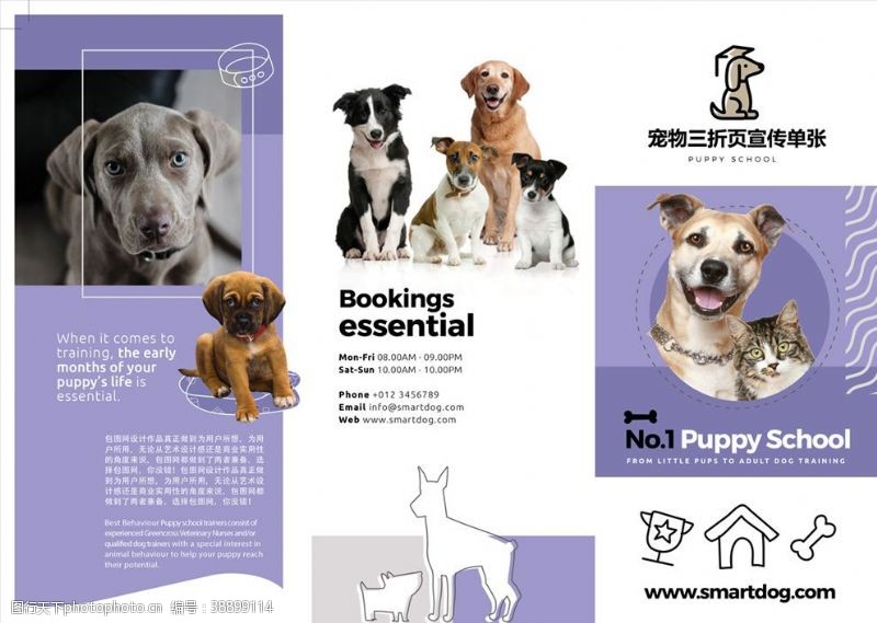 动物诊所宠物海报