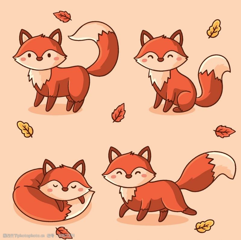 种子包装设计可爱小狐狸