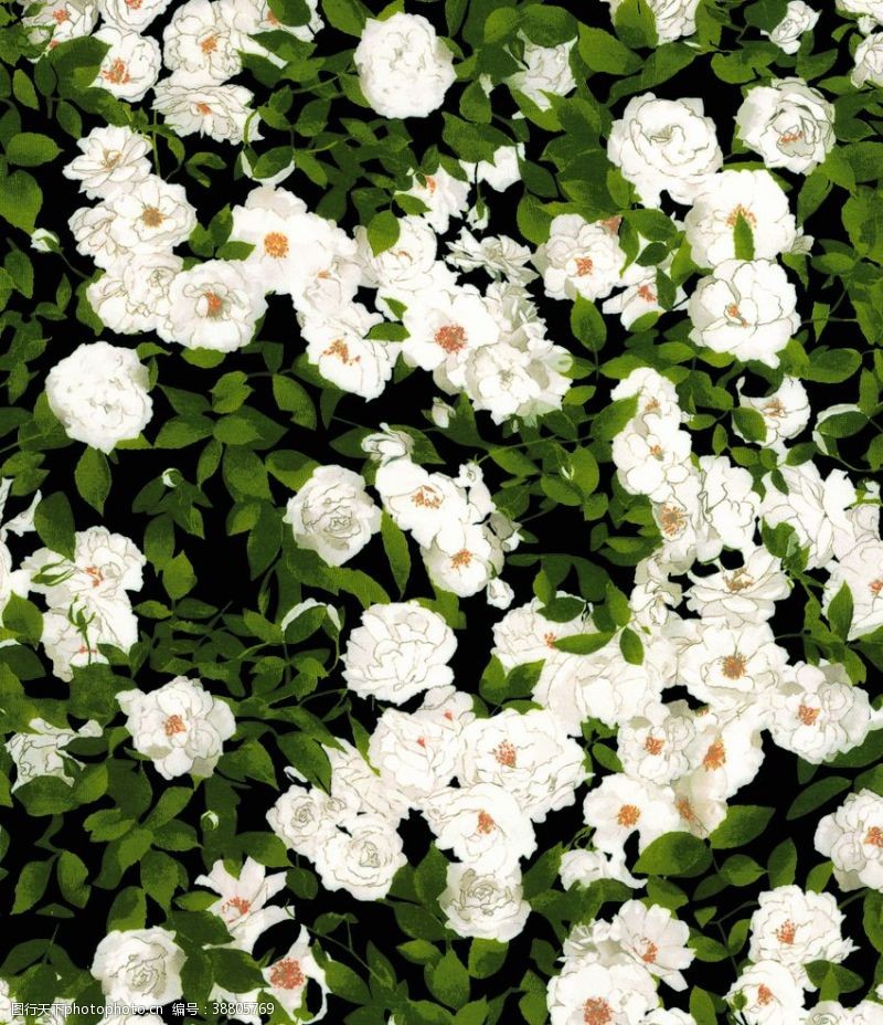 碎花绿叶白花白色花