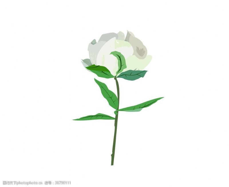 Ai花图片免费下载 Ai花素材 Ai花模板 图行天下素材网