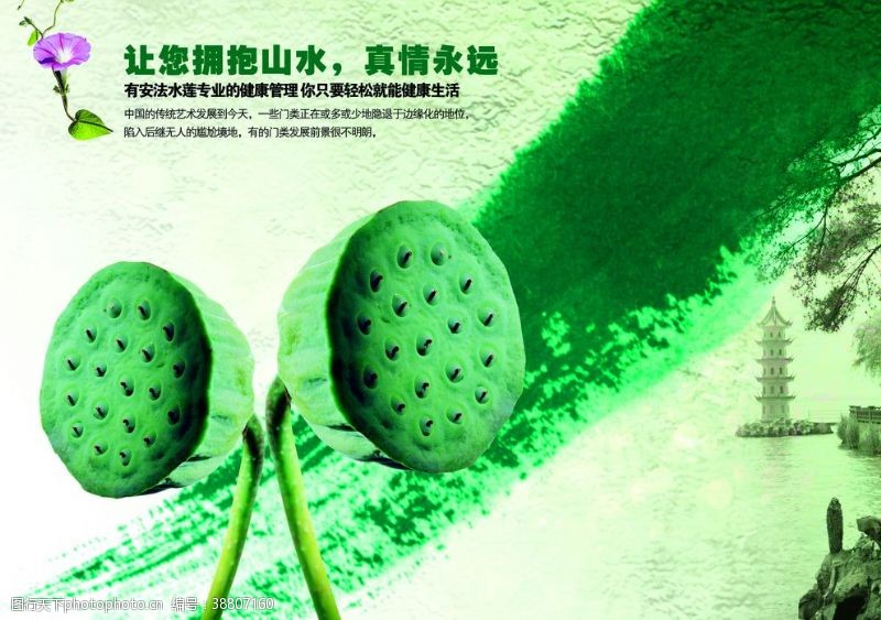 品质生活绿色莲蓬房地产宣传海报