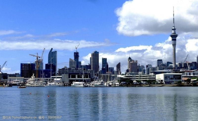 新西兰海滨风光奥克兰城市风光