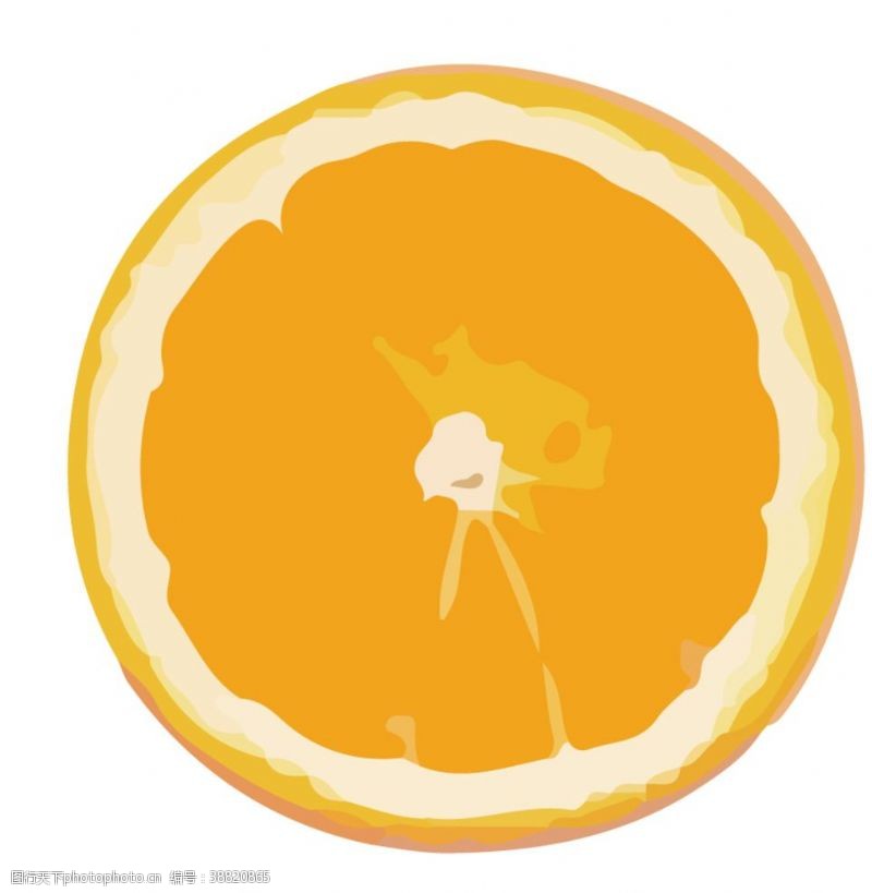 橙子切片素材橙子桔子橘子水果蔬菜切片矢量图