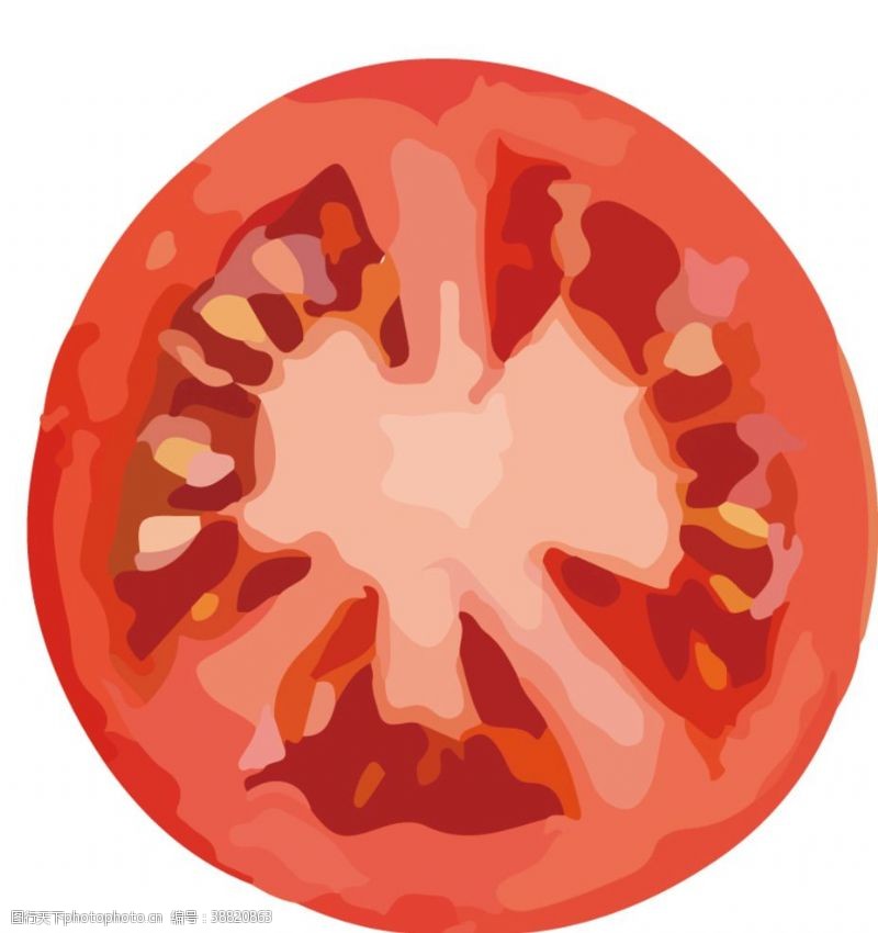 蔬菜底纹番茄西红柿水果蔬菜切片矢量图