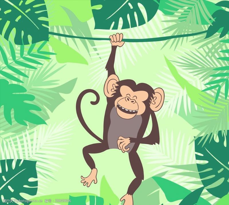 异国情调猴子插图图片