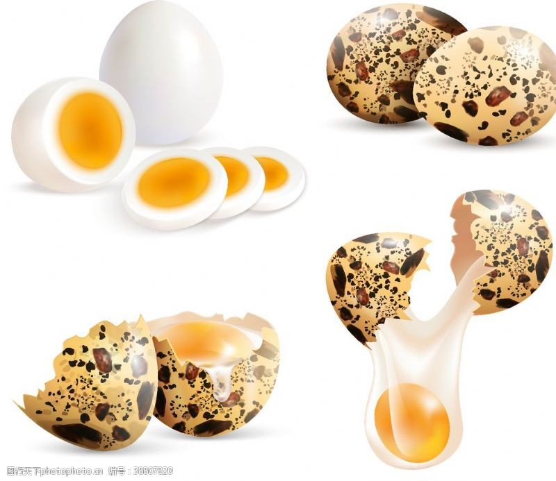 孵化过程鸡蛋