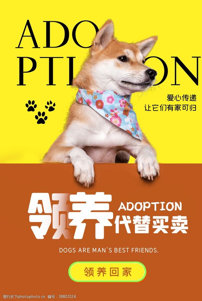 宠物领养领养宠物活动宣传海报素材