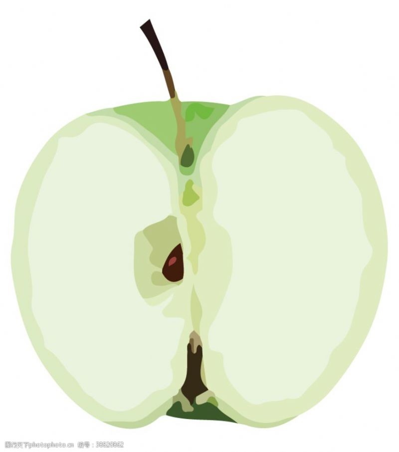蔬菜底纹苹果水果蔬菜切片局部矢量图