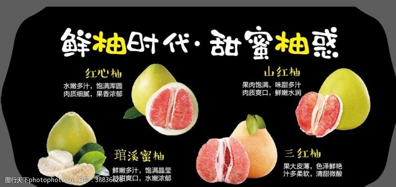 节节高柚子水果单品海报
