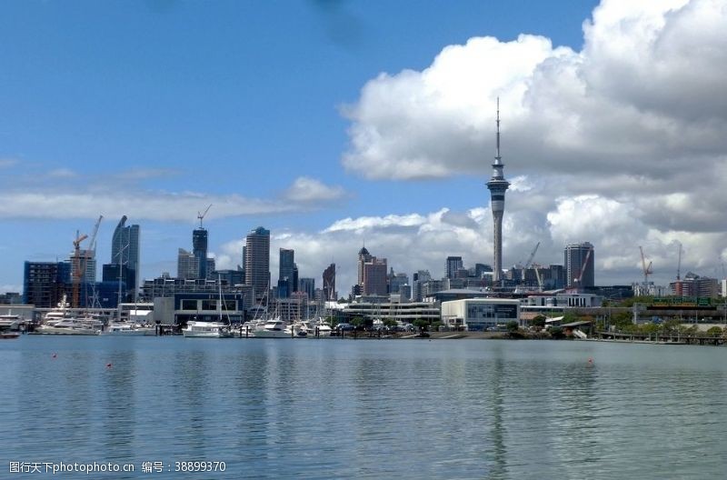 新西兰海滨风光奥克兰城市海滨风光