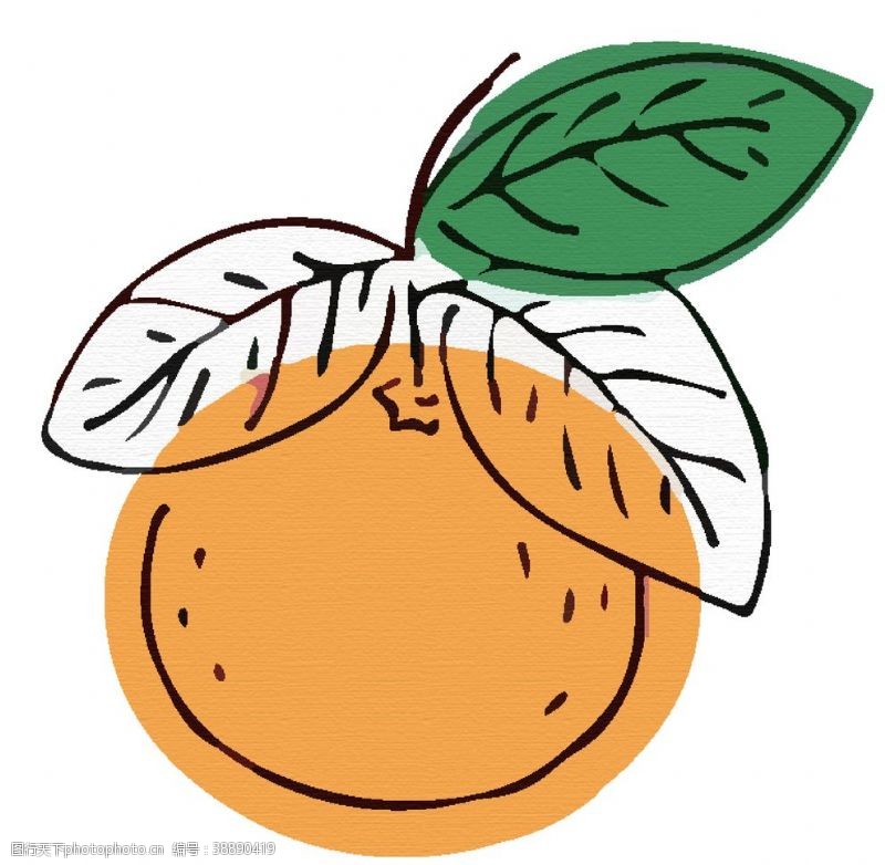 猫头鹰图案橙子