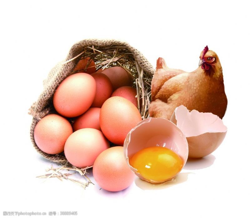 农场宣传单鸡蛋
