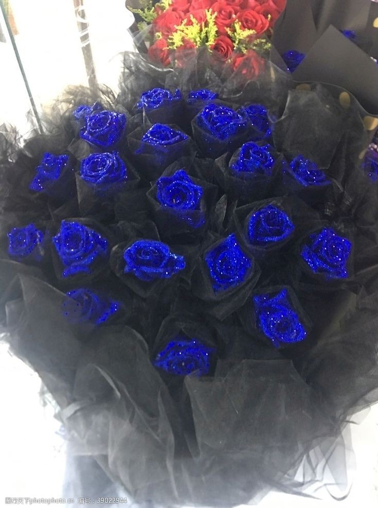 干玫瑰花蓝色妖姬图片