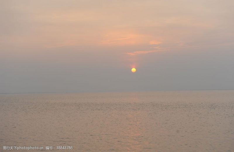 沼泽地日落