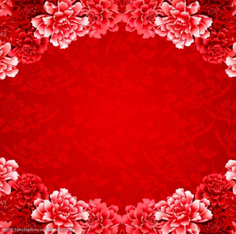 红色花背景图片免费下载 红色花背景素材 红色花背景模板 图行天下素材网