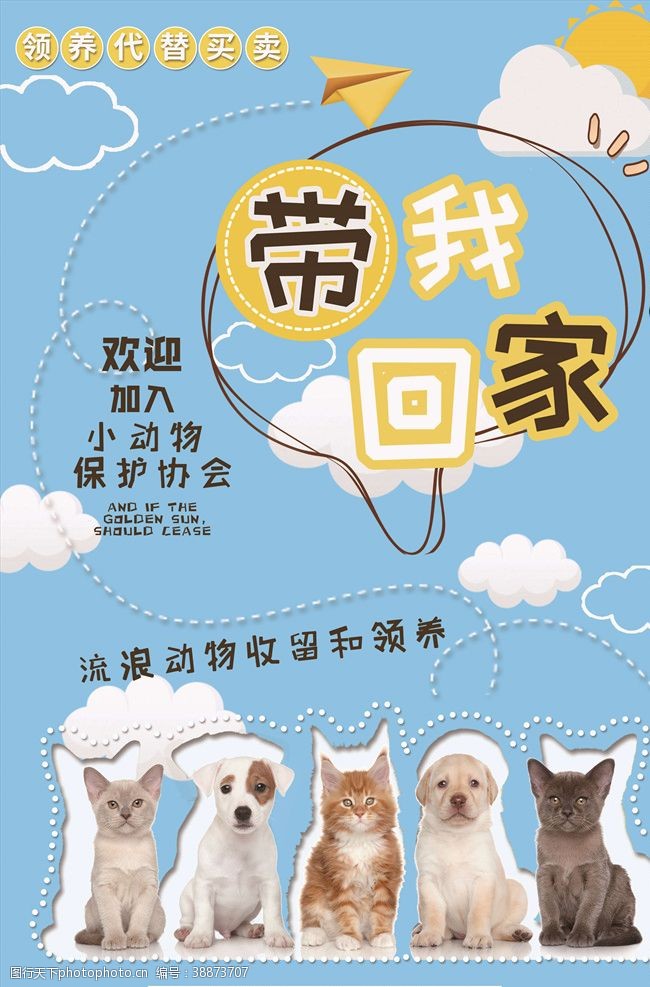 宠物诊所宠物海报