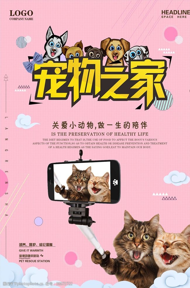 动物诊所宠物海报