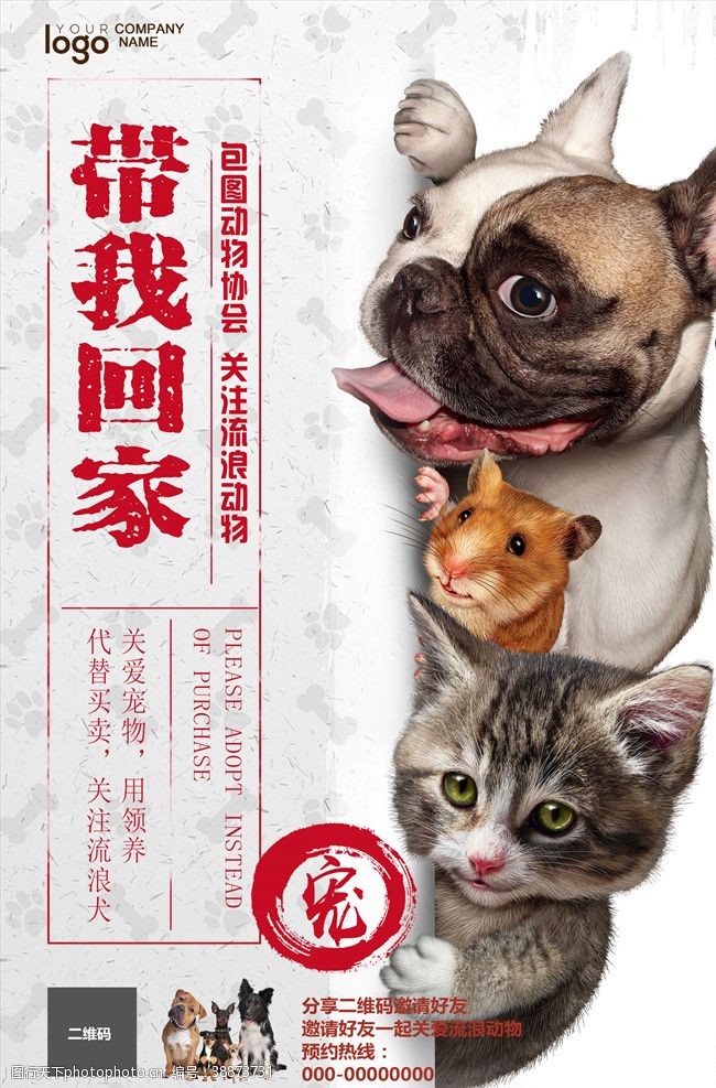 猫粮宠物海报