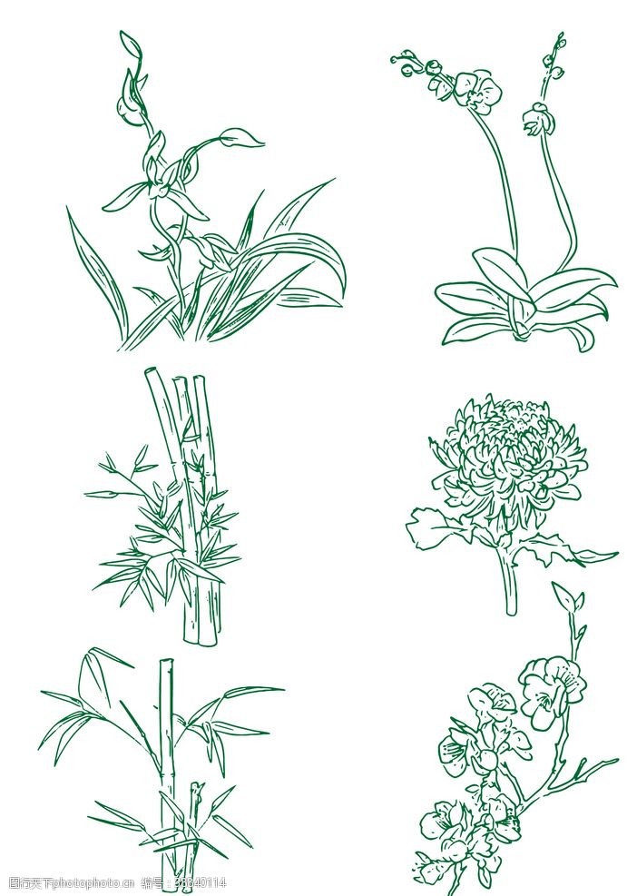 水藻素材梅兰竹菊植物线稿