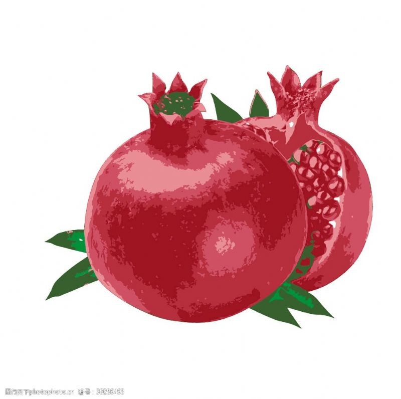 水果广告石榴插画图片