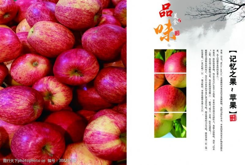 超市推广水果产品画册