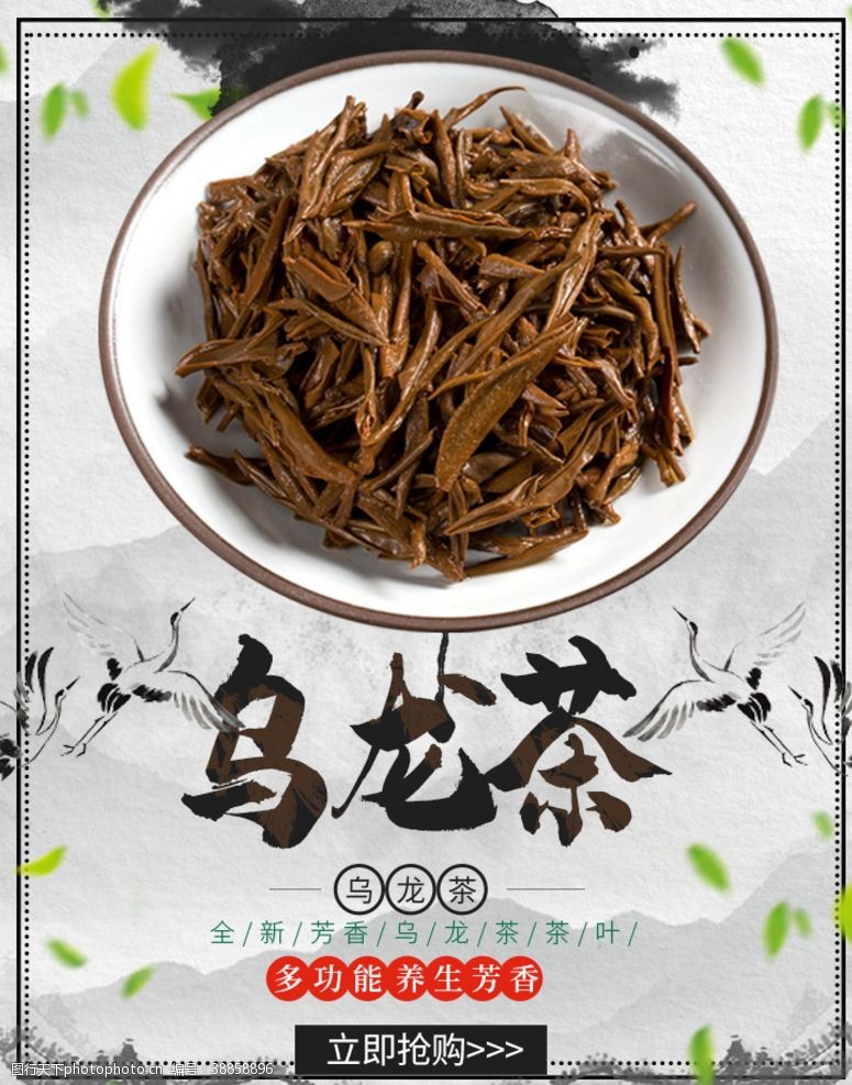 淘宝新茶上市乌龙茶