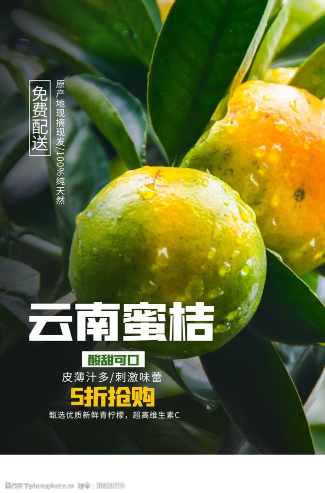 云南美食云南蜜桔水果果农活动宣传海报