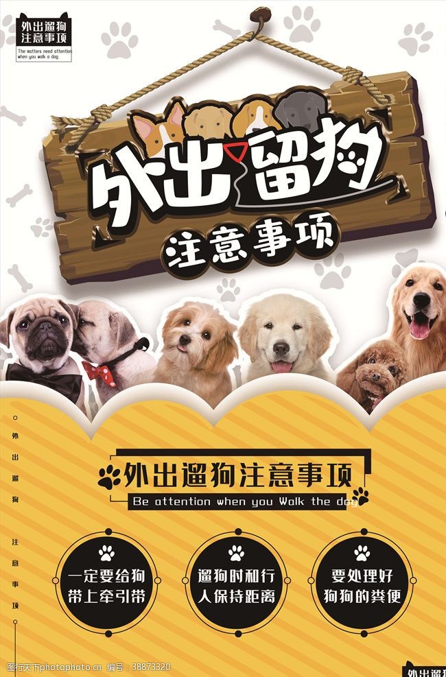 宠物诊所宠物海报