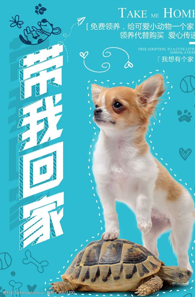 宠物店店招宠物海报