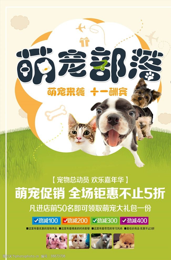 猫粮宠物海报
