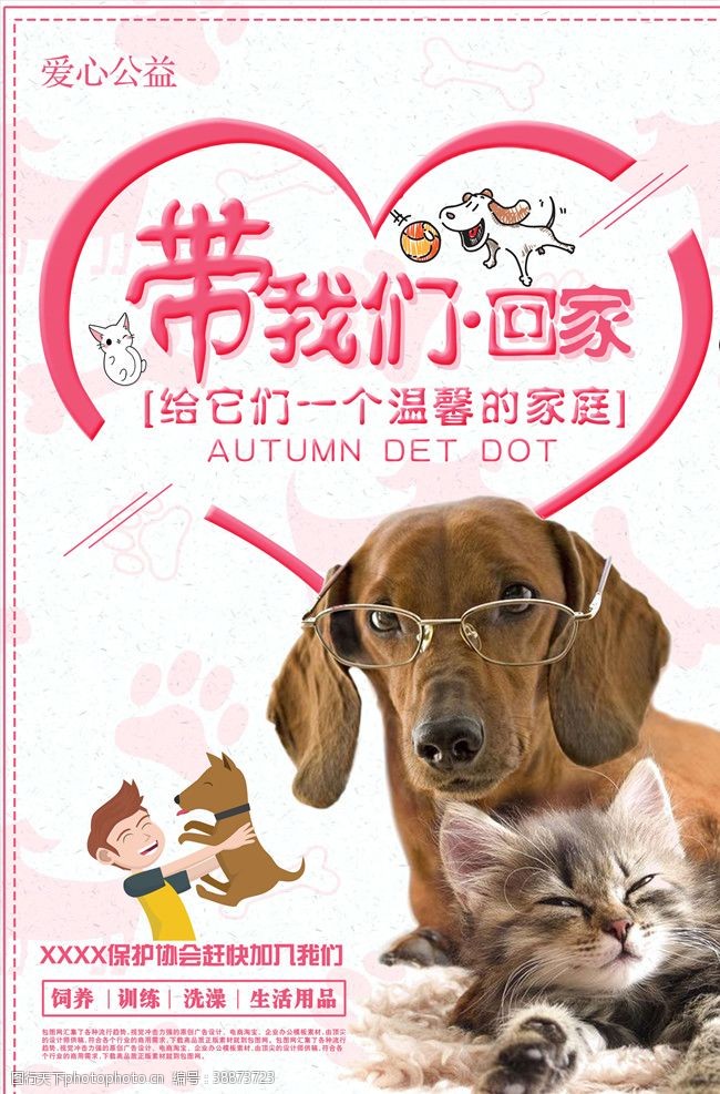 宠物护理宠物海报