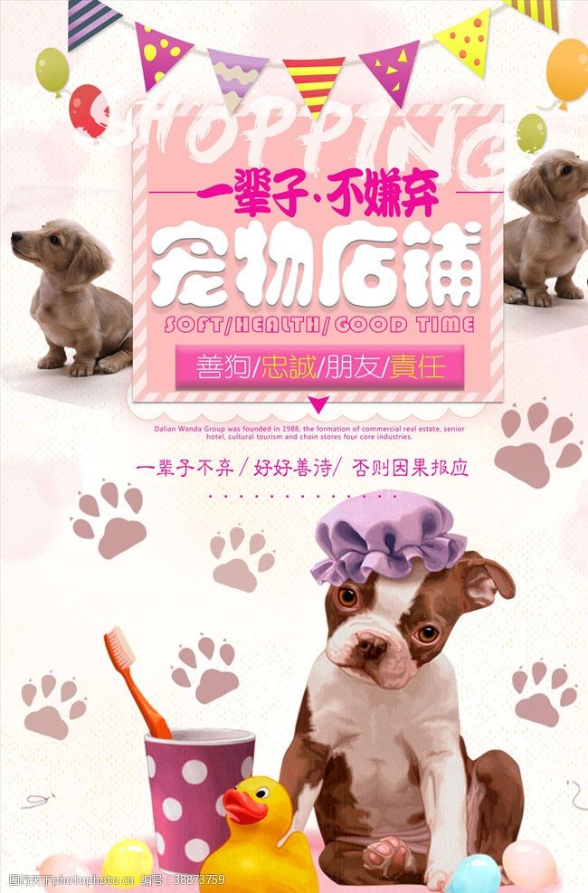 宠物粮食宠物海报