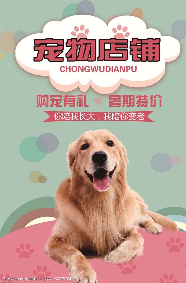 狗狗生病宠物海报
