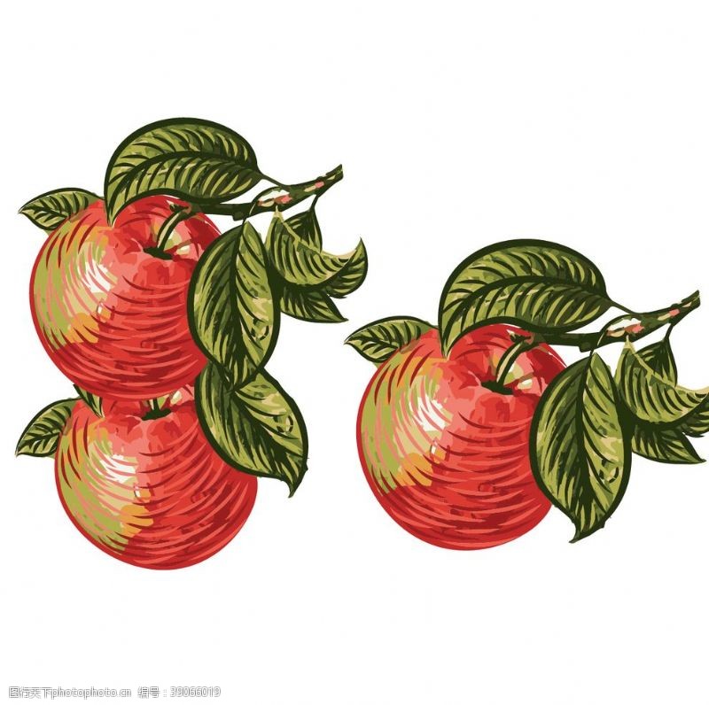 水果通用包装苹果插画图片