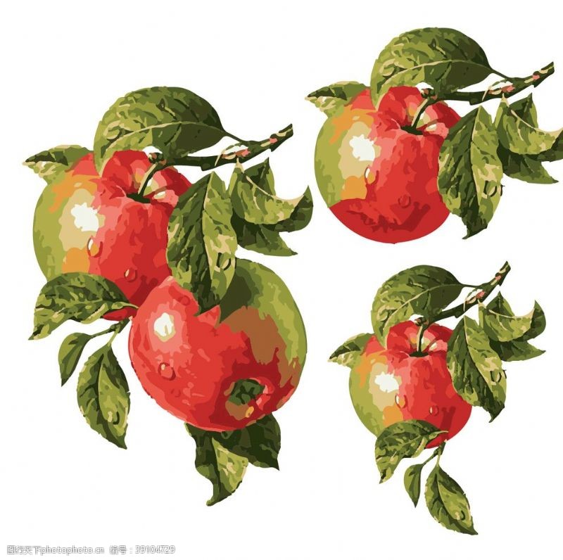 水果通用包装手绘苹果插画图片
