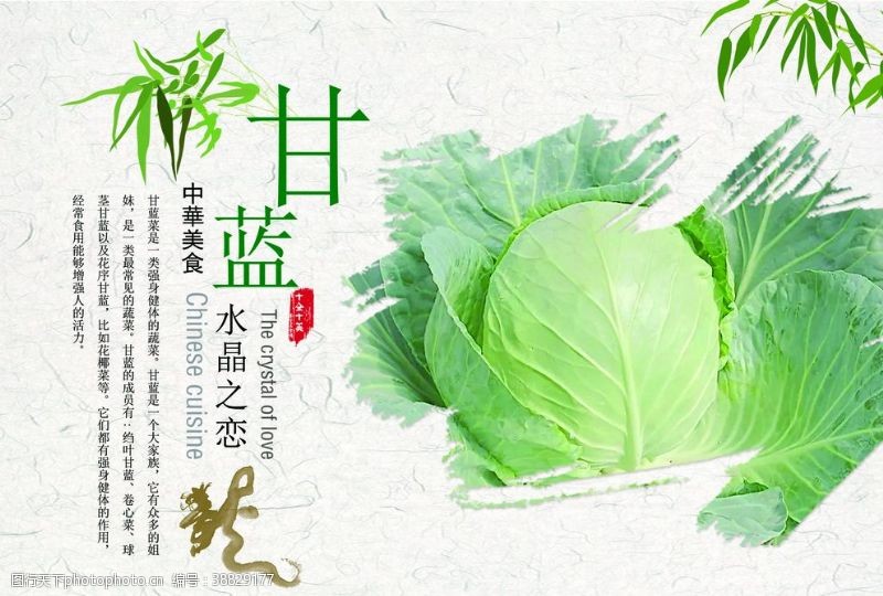 精品杂志内页水果蔬菜画册