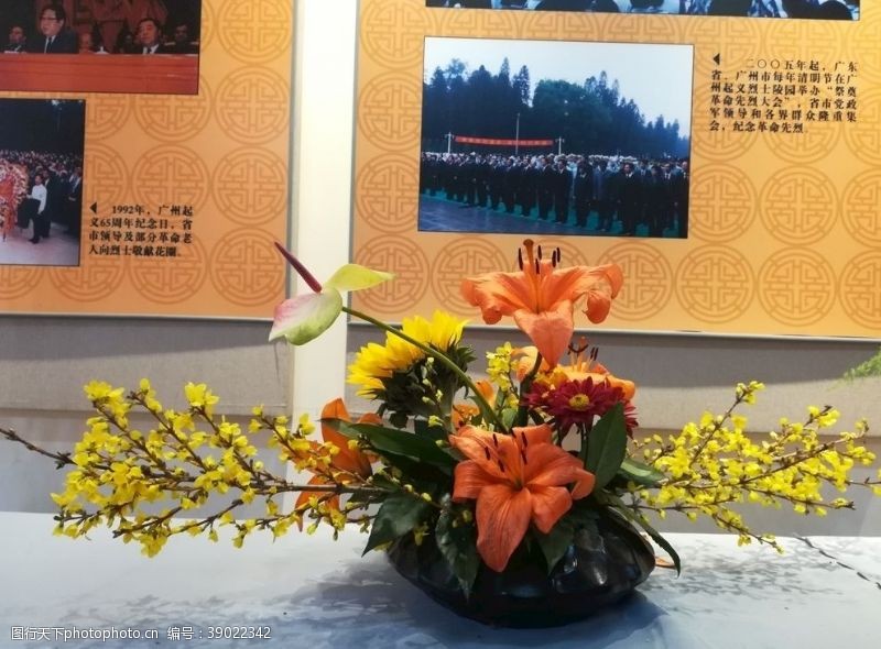 展览馆跳舞兰花卉插花图片
