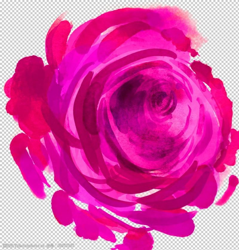 玫瑰花鲜花装饰图片