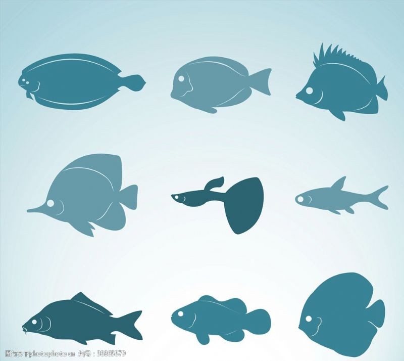海鲜种类鱼类品种