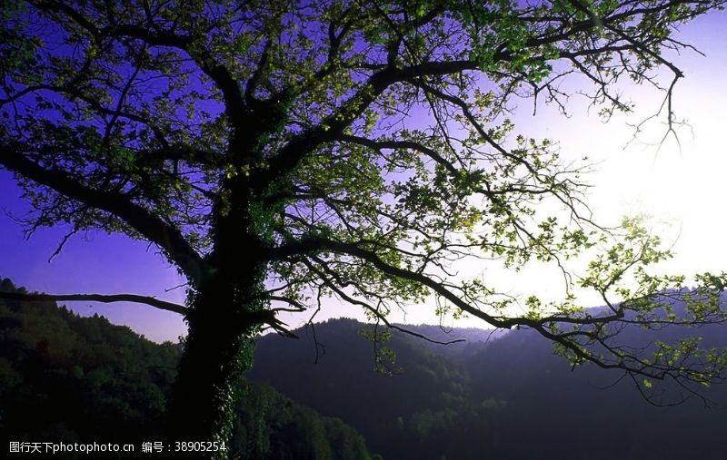 创意边框风景