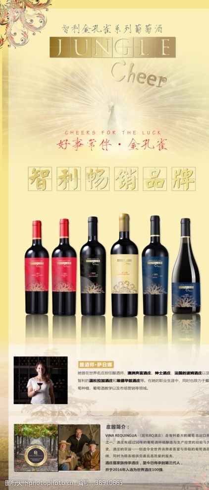 葡萄酒宣传单干红葡萄酒4