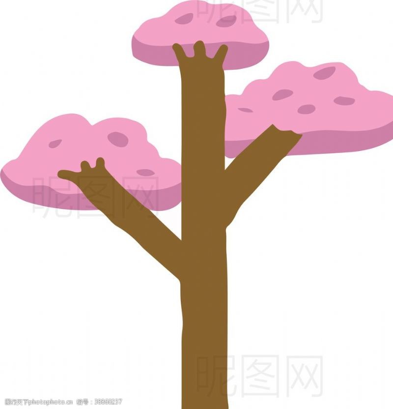 檀香紫檀景观树